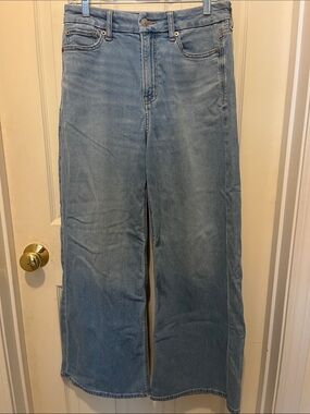 American Eagle Curvy Baggy Wide Leg